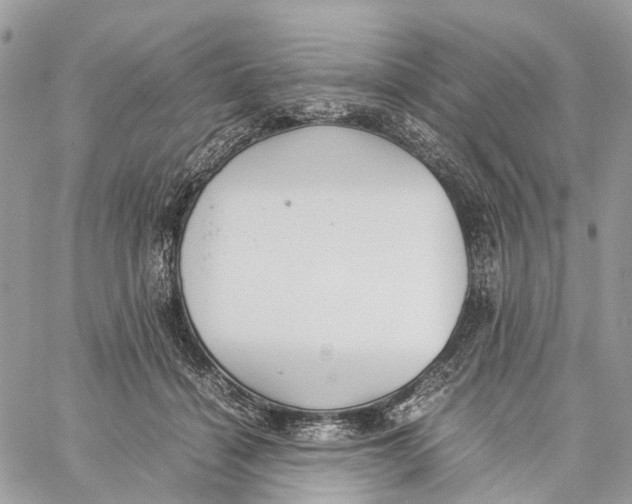 X0000060260460200511181358