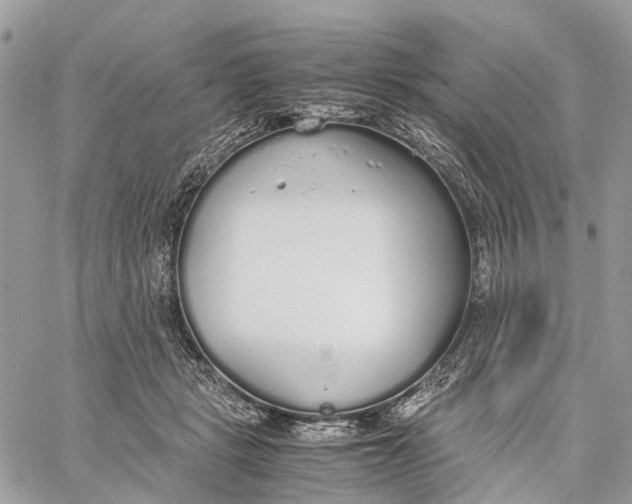 X0000060260461200511181358