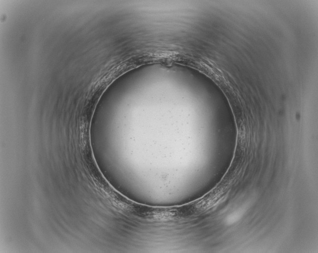 X0000060260462200511181358