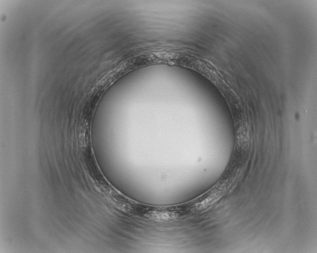 X0000060260464200511181358