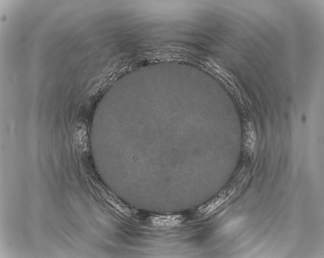 X0000060260465200511181358