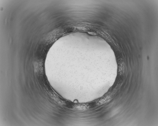 X0000060260466200511181358