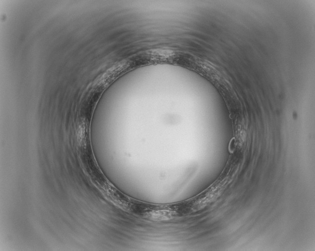 X0000060260468200511181358