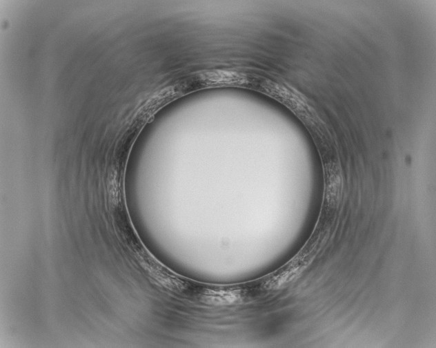 X0000060260469200511181358