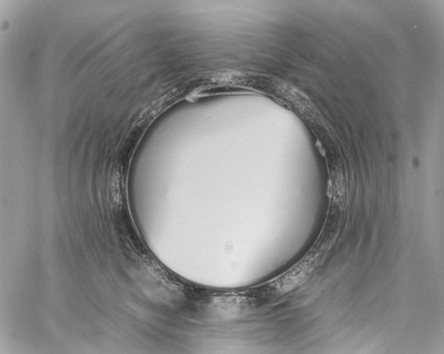 X0000060260470200511181358