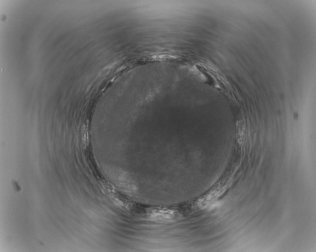 X0000060260471200511181358