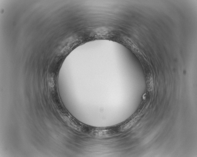 X0000060260472200511181358