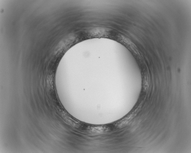 X0000060260473200511181358