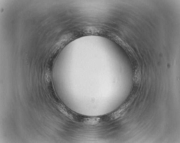 X0000060260474200511181359