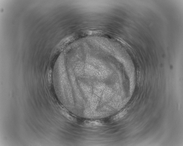 X0000060260475200511181359