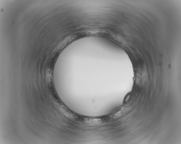 X0000060260476200511181359