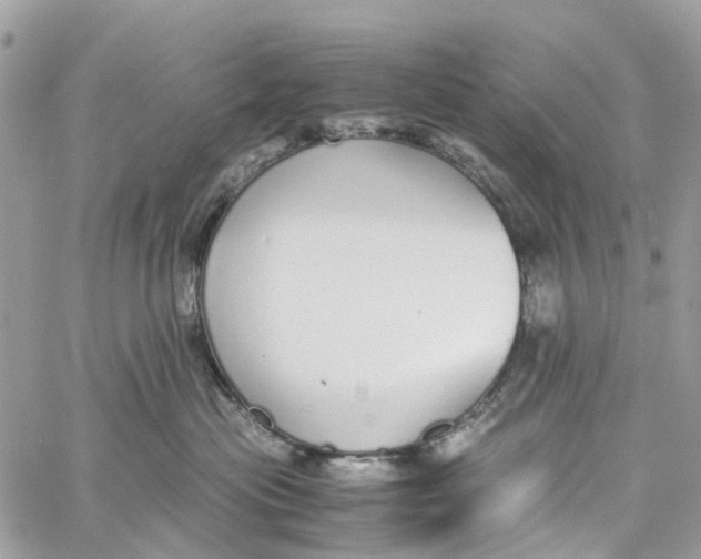 X0000060260477200511181359