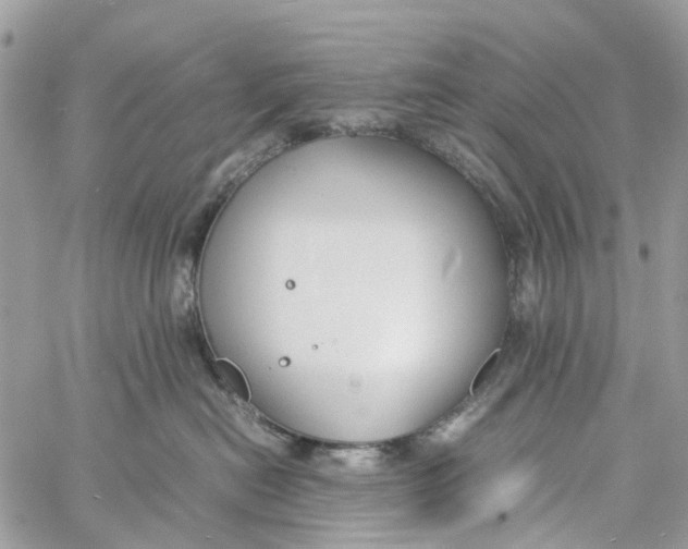 X0000060260478200511181359