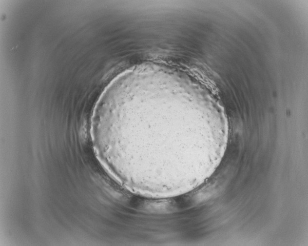 X0000060260479200511181359