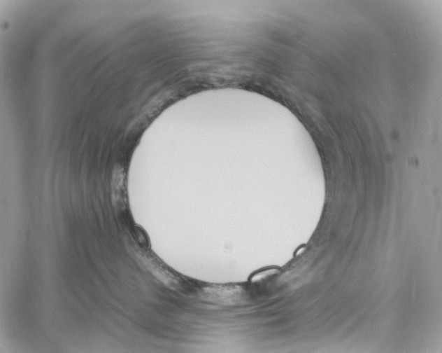 X0000060260480200511181359