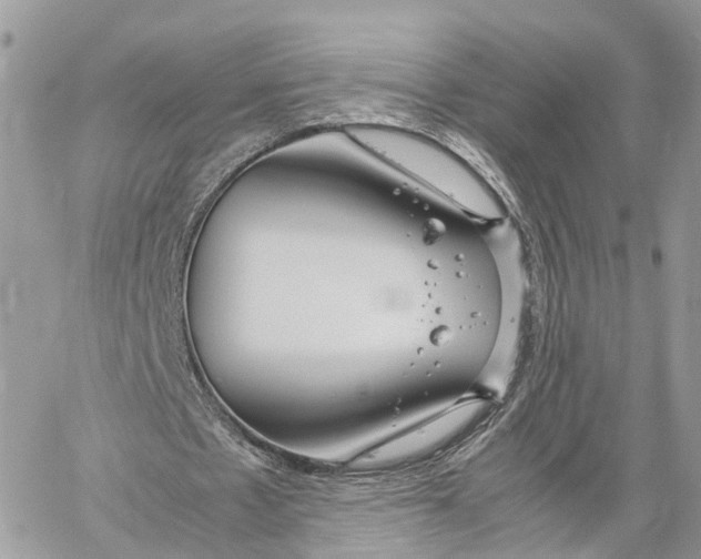 X0000060260481200511181358