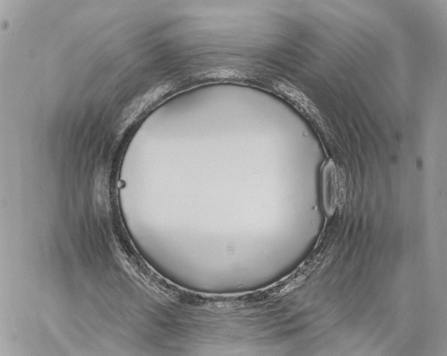 X0000060260482200511181358