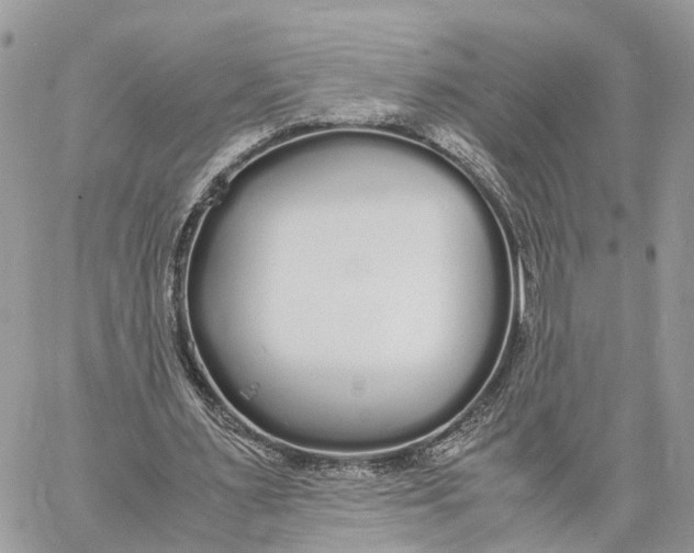 X0000060260483200511181358