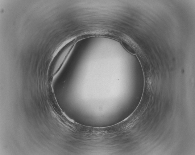 X0000060260484200511181358