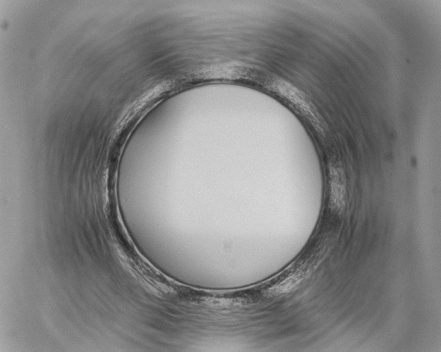 X0000060260486200511181358