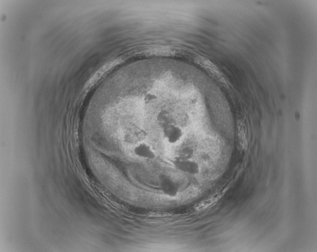 X0000060260487200511181358