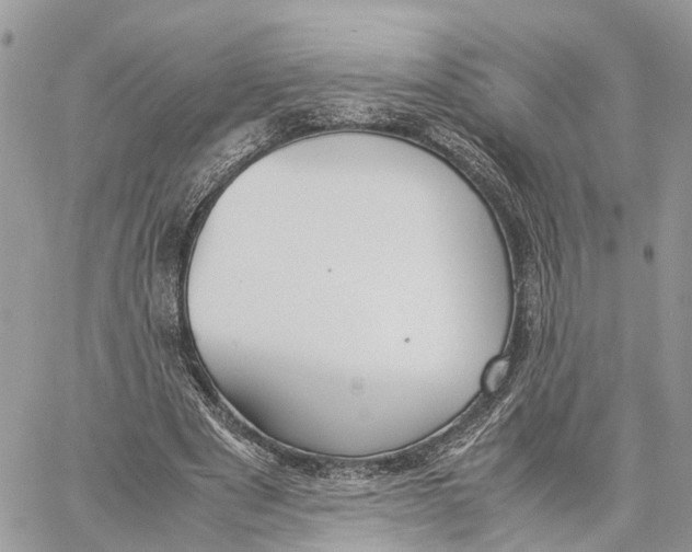 X0000060260489200511181358