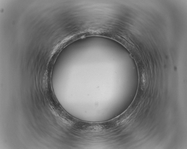 X0000060260492200511181358