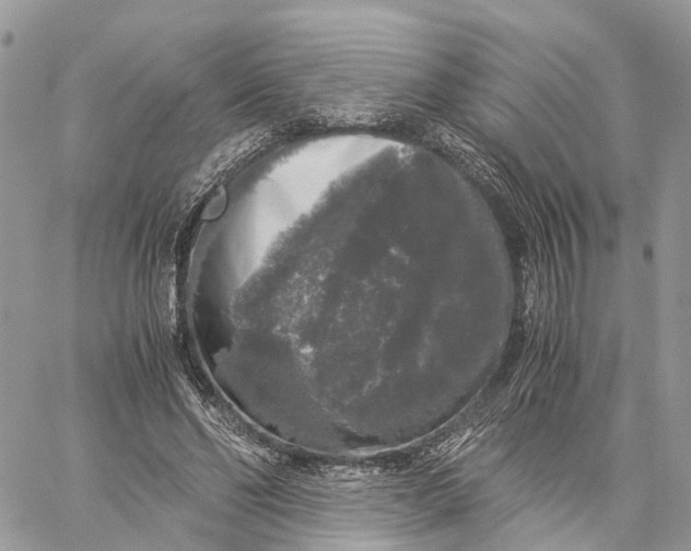 X0000060260494200511181358