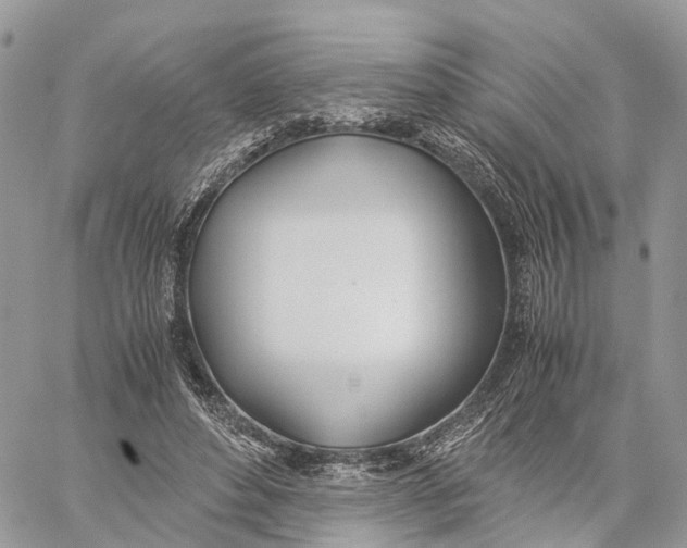 X0000060260496200511181358