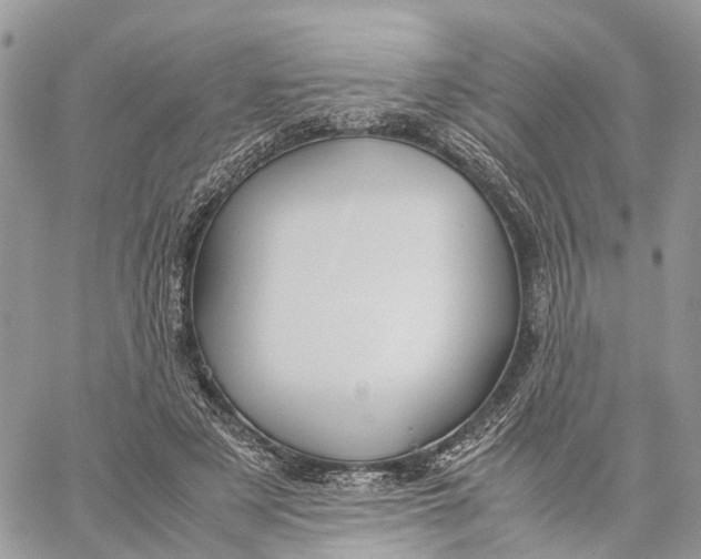 X0000060260497200511181358