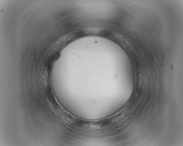 X0000060260498200511181358