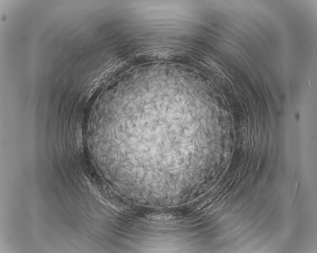 X0000060260500200511181358