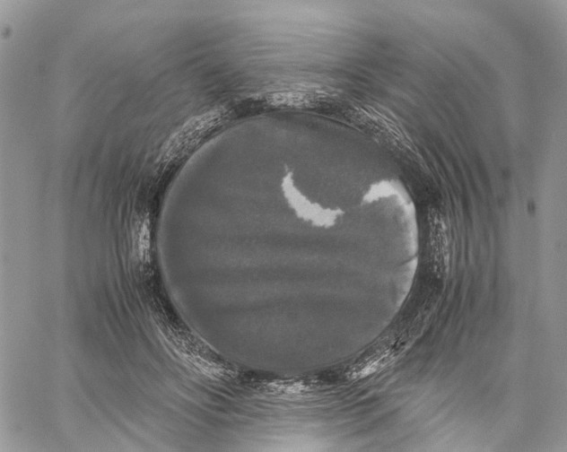 X0000060260502200511181357