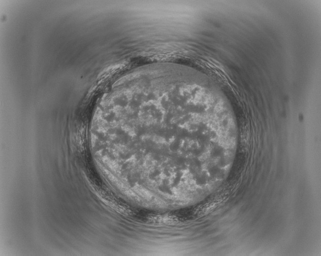 X0000060260503200511181357