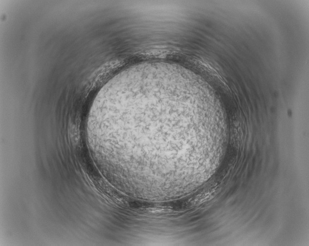 X0000060260504200511181357