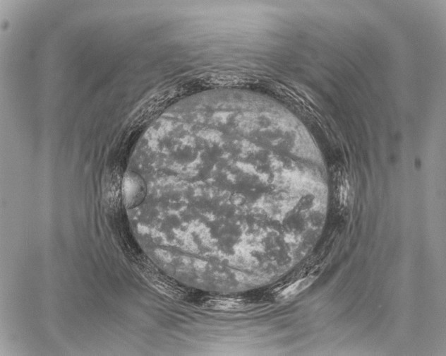 X0000060260507200511181357