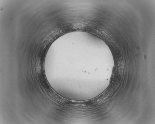 X0000060260508200511181357