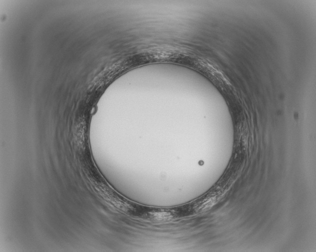 X0000060260509200511181357