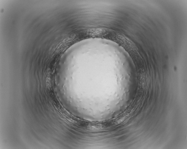 X0000060260510200511181357