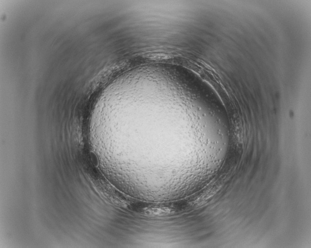 X0000060260512200511181357