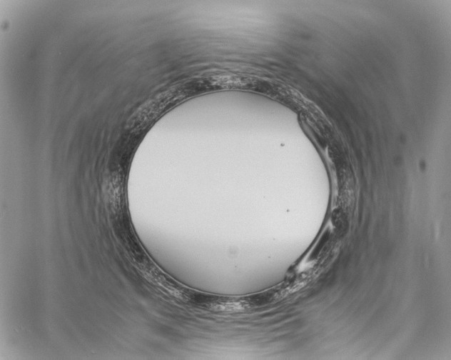 X0000060260513200511181357