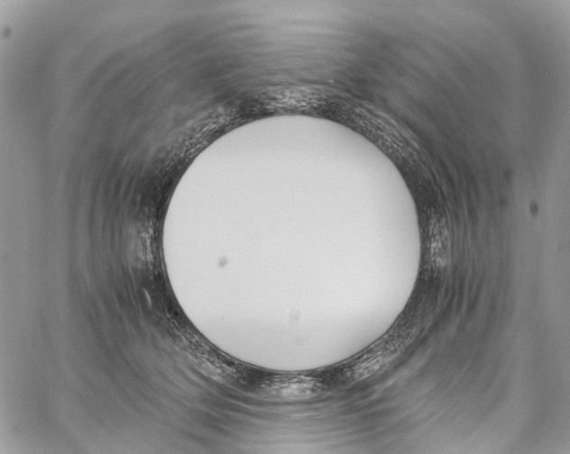 X0000060260514200511181357