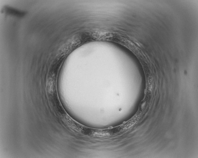 X0000060260515200511181357