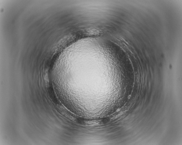 X0000060260516200511181357