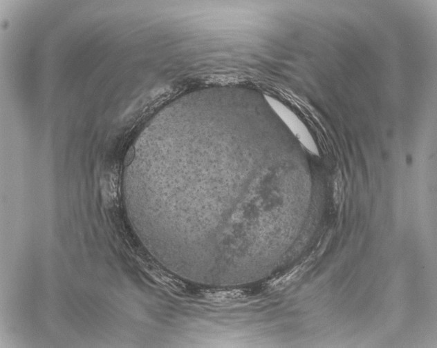 X0000060260517200511181357