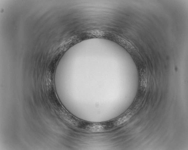 X0000060260518200511181357