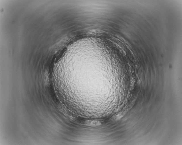 X0000060260520200511181357