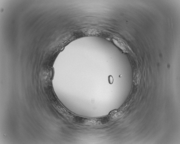 X0000060260521200511181357