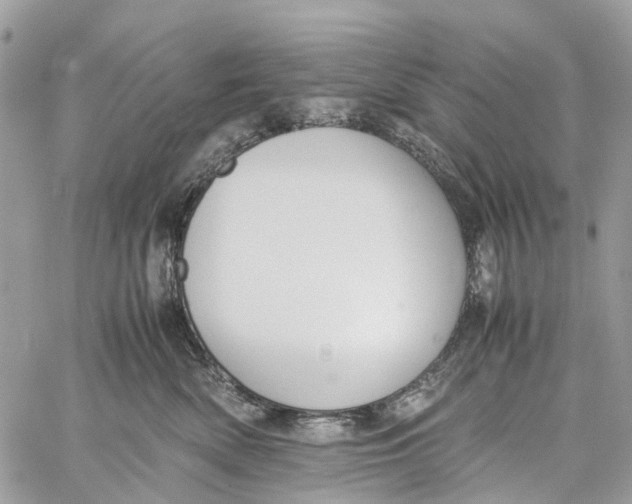 X0000060260522200511181357