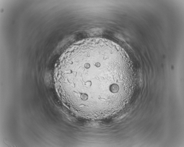 X0000060260523200511181357